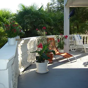 Palma Apartment
